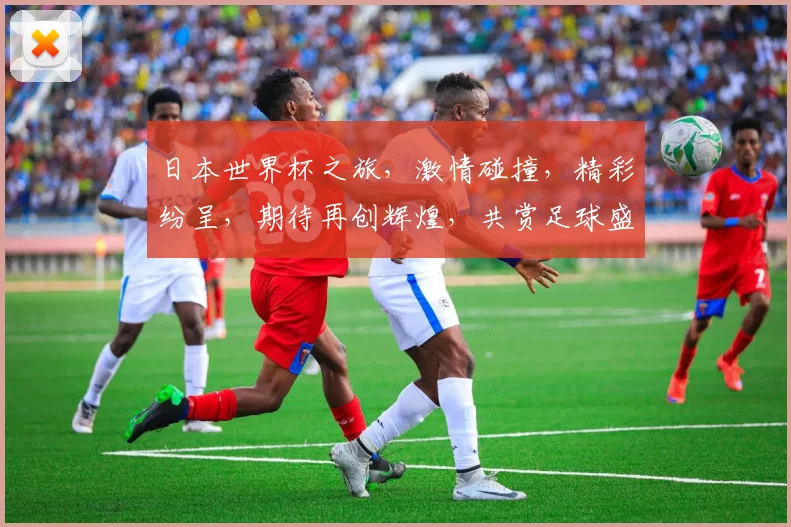 日本世界杯之旅，激情碰撞，精彩纷呈，期待再创辉煌，共赏足球盛宴