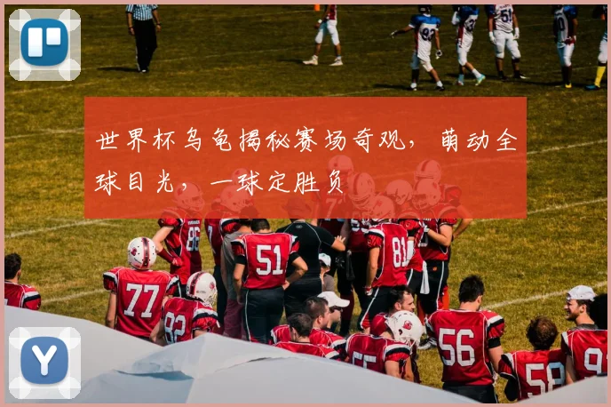 世界杯乌龟揭秘赛场奇观，萌动全球目光，一球定胜负
